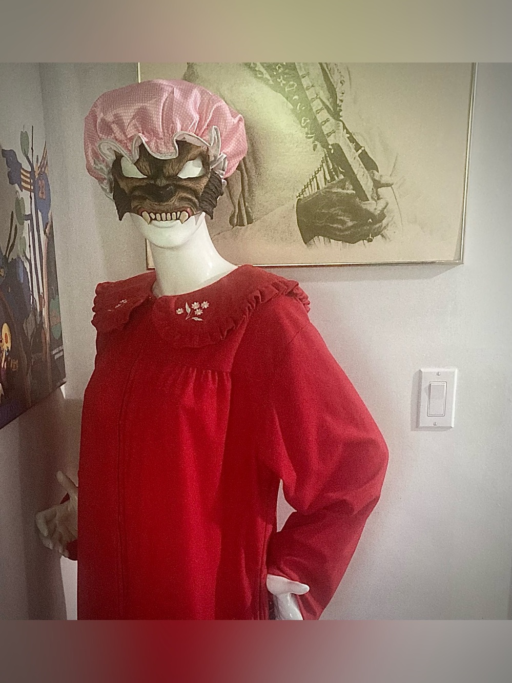 Big Bad Wolf Ate Grandma Adult Halloween Costume - Unisex